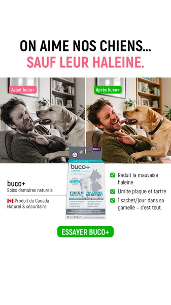 A split-screen comparison showing a dog owner's reaction to their dog's breath before and after using a natural dental treatment product.
